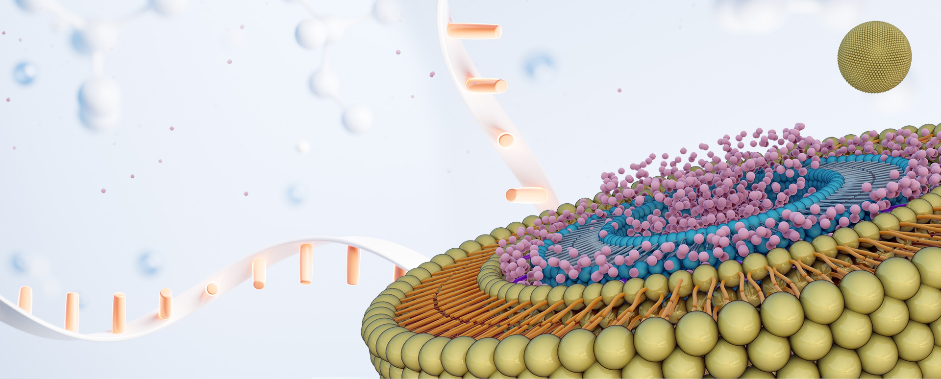 Welcome to CD BioSustainable-Green Chemistry