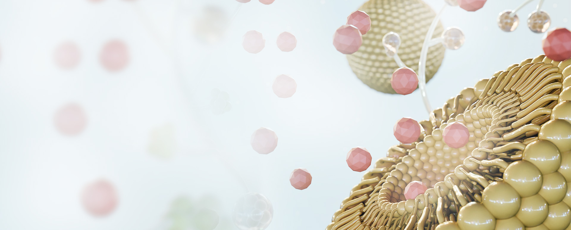 Welcome to CD BioSustainable-Green Chemistry