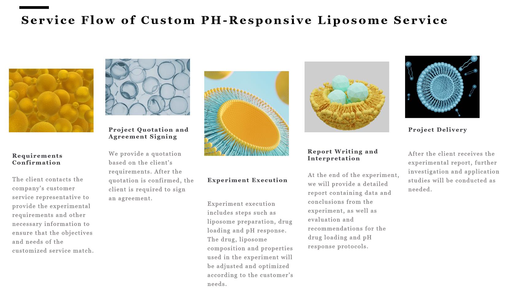 Custom PH-Responsive Liposome Service