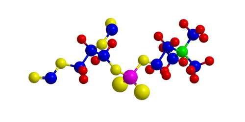 Molecular structure of phosphatidylcholine