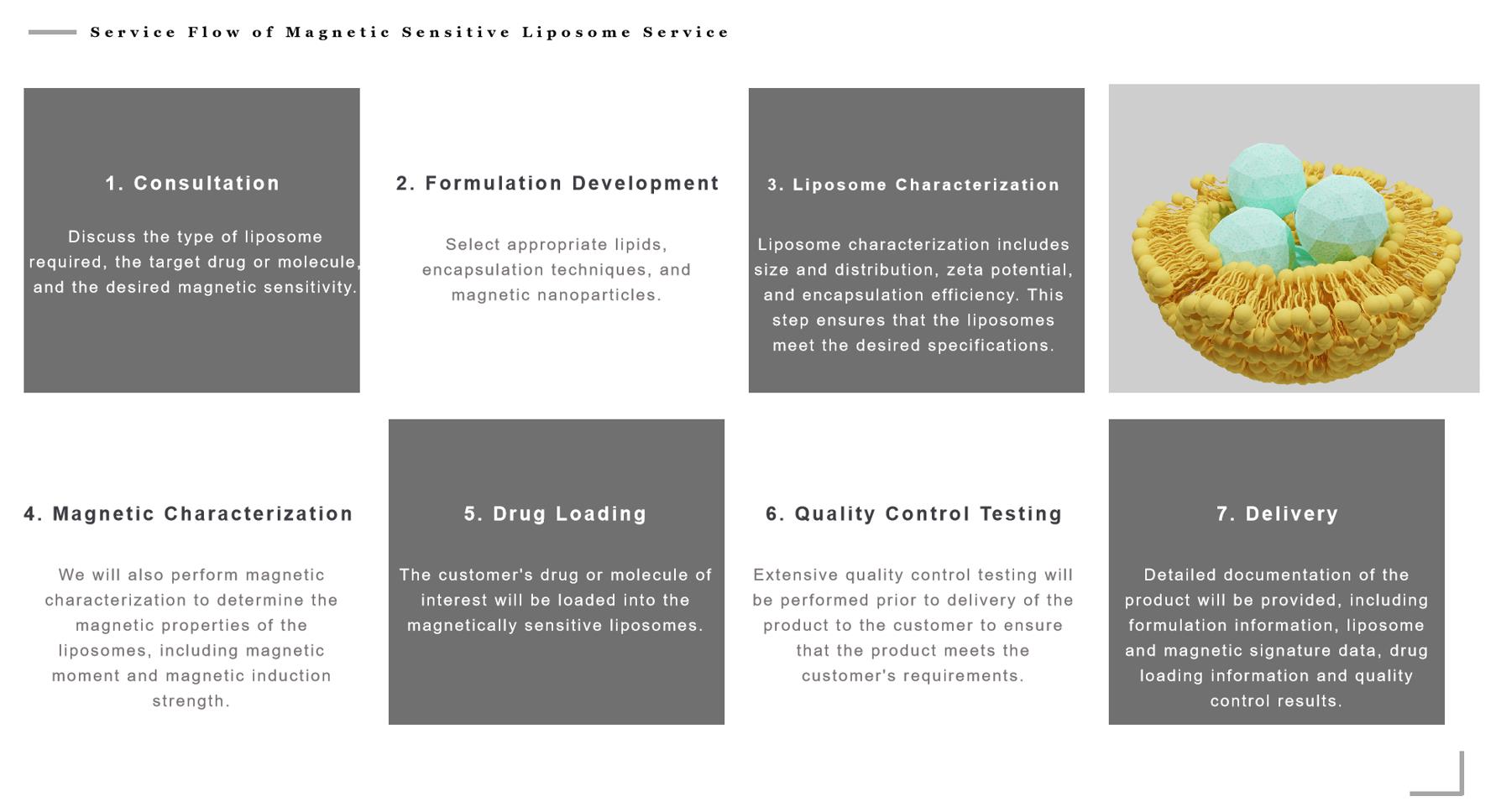 Custom Photoresponsive Liposome Service