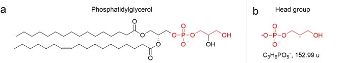 (a) Phosphatidylglycerol and (b) corresponding head group fragment.