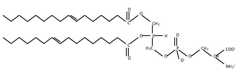 The structure of phosphatidylserine 