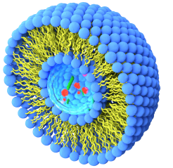 Materials for liposomes