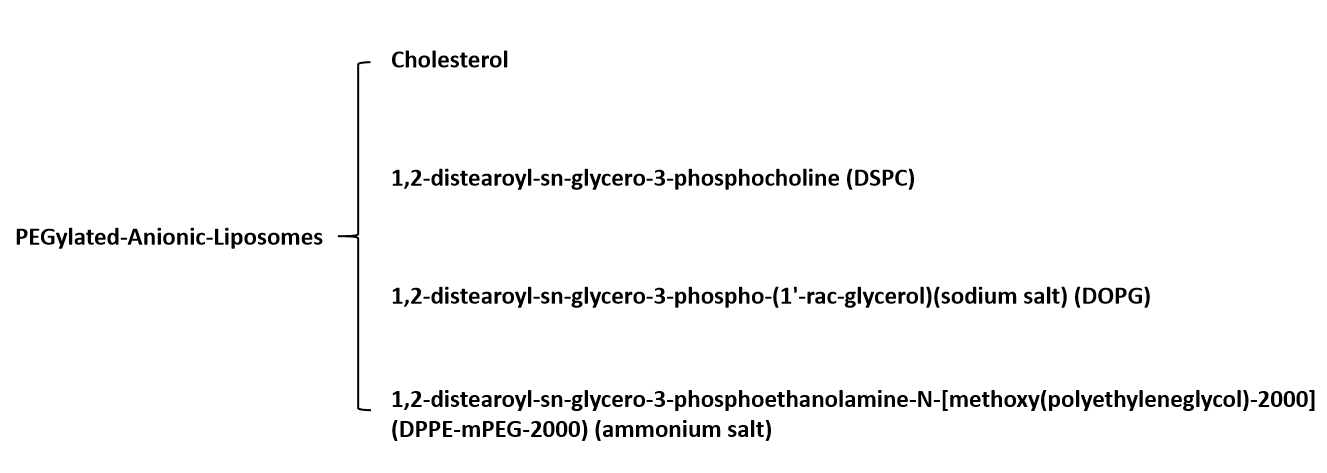 Main components of PEGylated-anionic-liposomes