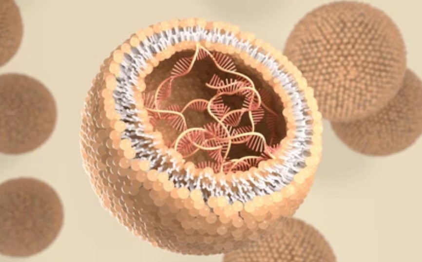 DC Cholesterol Liposomes for DNA/RNA Delivery