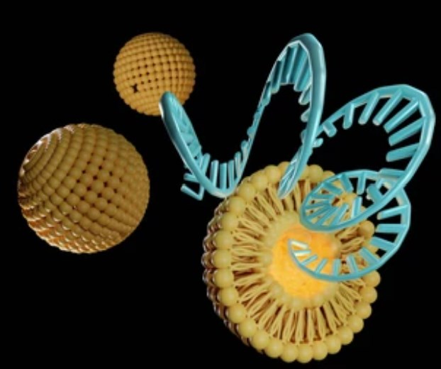 DOTAP Liposomes for DNA/RNA Delivery