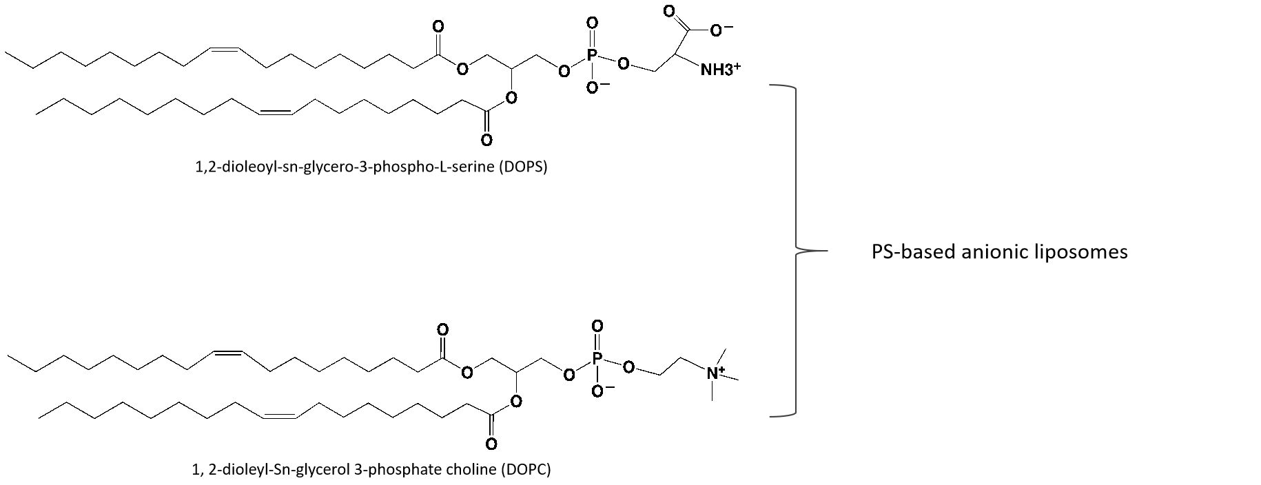 Composition of PS-based anionic liposomes