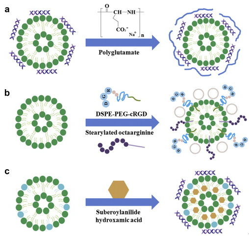 Strategies for cationic liposome-based nucleic acid delivery