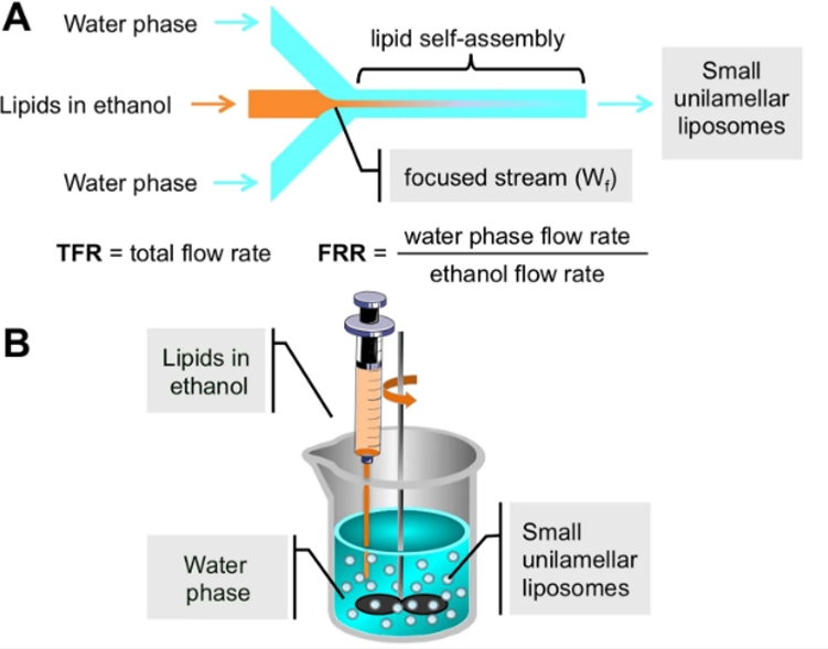 Schematic of the liposome formation process. Panel A shows a schematic representation of a microfluidic device; Panel B shows a schematic representation of the ethanol injection procedure.