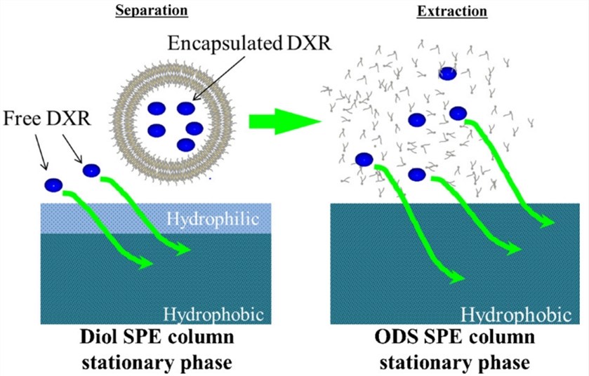 Schematic of the separation and extraction processes