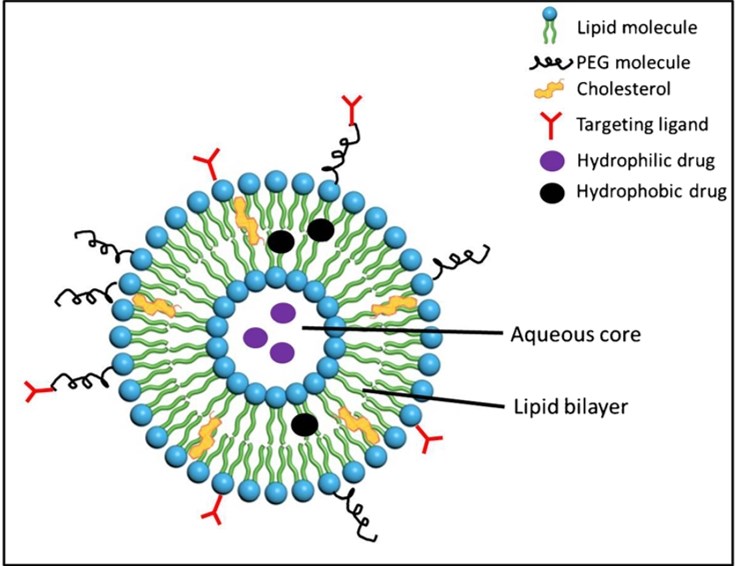 Liposome Drug Product Specifications Measurement