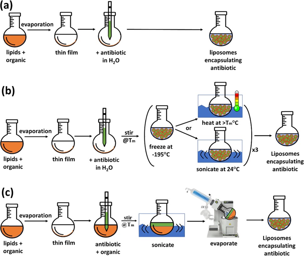 Overview of liposome preparation techniques 