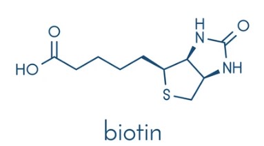 Structural formula of biotin.