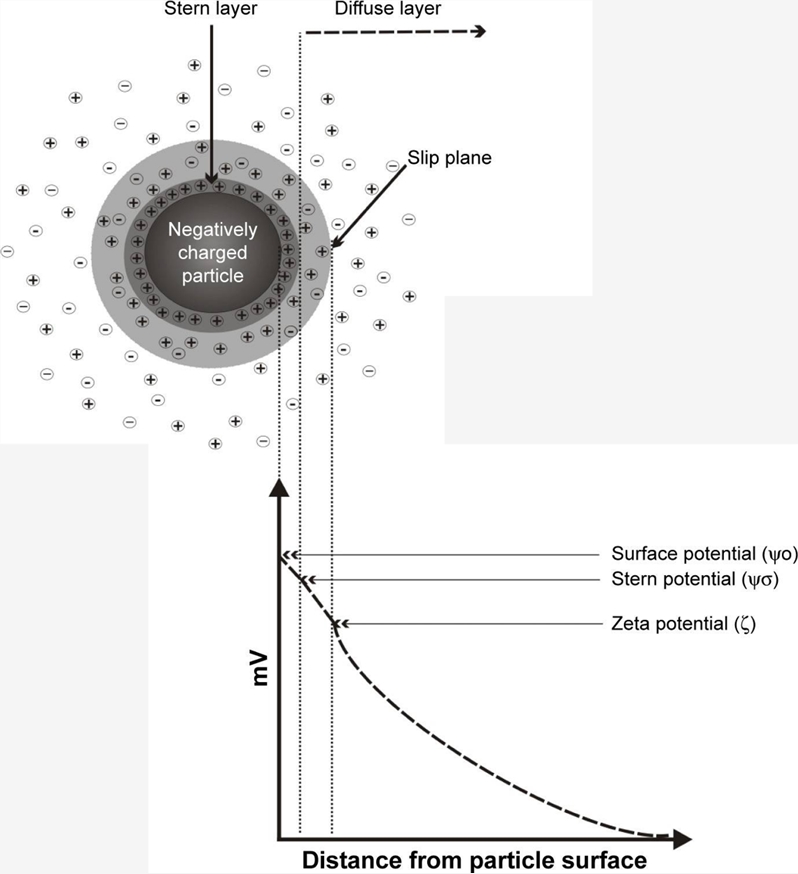 Schematic illustration of the electrical double layer at the surface