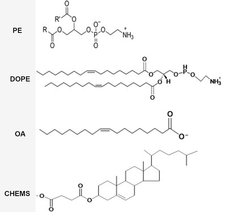 Commonly used lipids for the construction of pH-sensitive liposome.