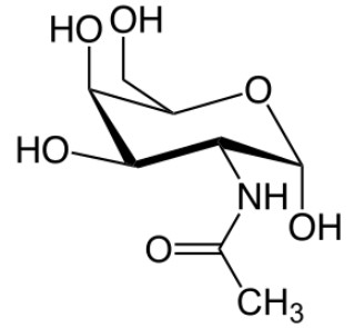 The chemical structure of GalNac.