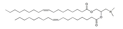 The stucture of DODAP liposome.